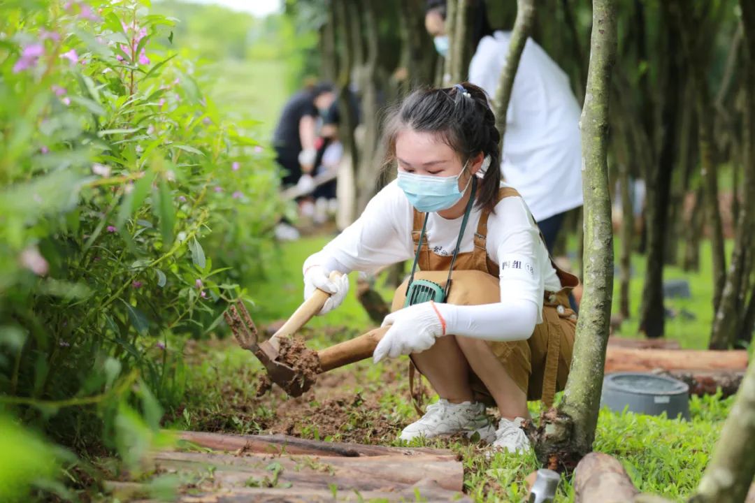 clip_image019.jpg 說明: https://mmbiz.qpic.cn/mmbiz_jpg/JdHquDdPGESuqBYTALibdwp2ftRK5t9XGguibdTWvyh5gSrENRoKUgXNpdicZUwjy87eWHGjFK57ib9kAw18a2meaQ/640?wx_fmt=jpeg