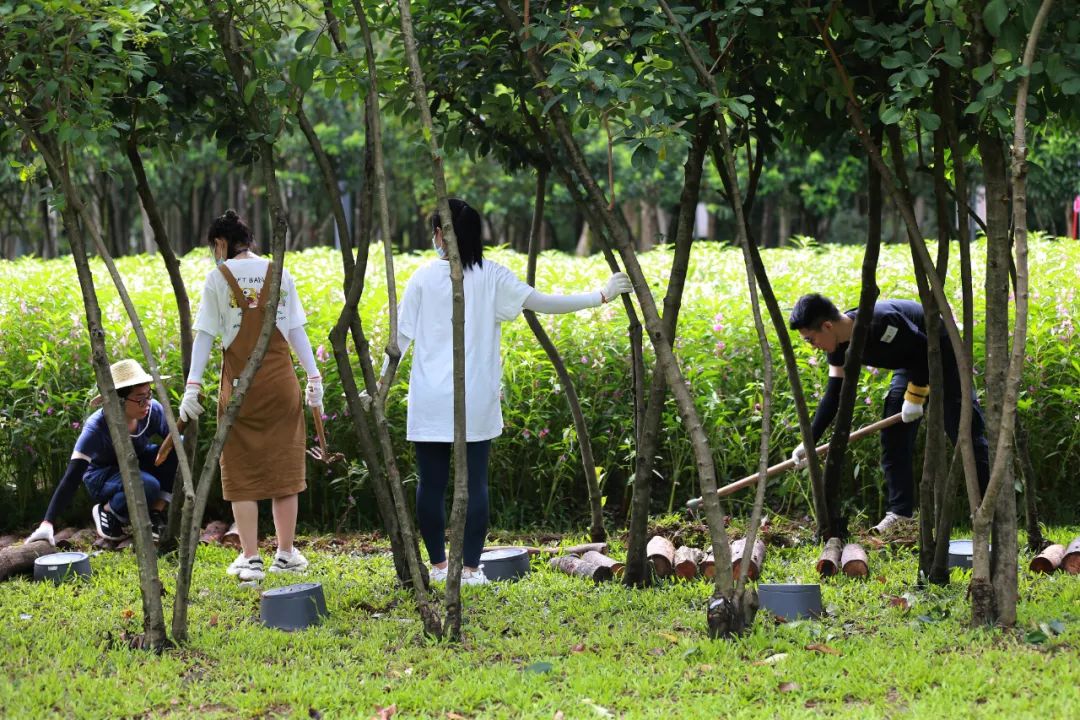 clip_image014.jpg 說明: https://mmbiz.qpic.cn/mmbiz_jpg/JdHquDdPGESuqBYTALibdwp2ftRK5t9XGgIGRrAM2ibKJljA4gSvKRh7ZAa4XQHC1XlOltpUYYehmic9AGpFFZySA/640?wx_fmt=jpeg