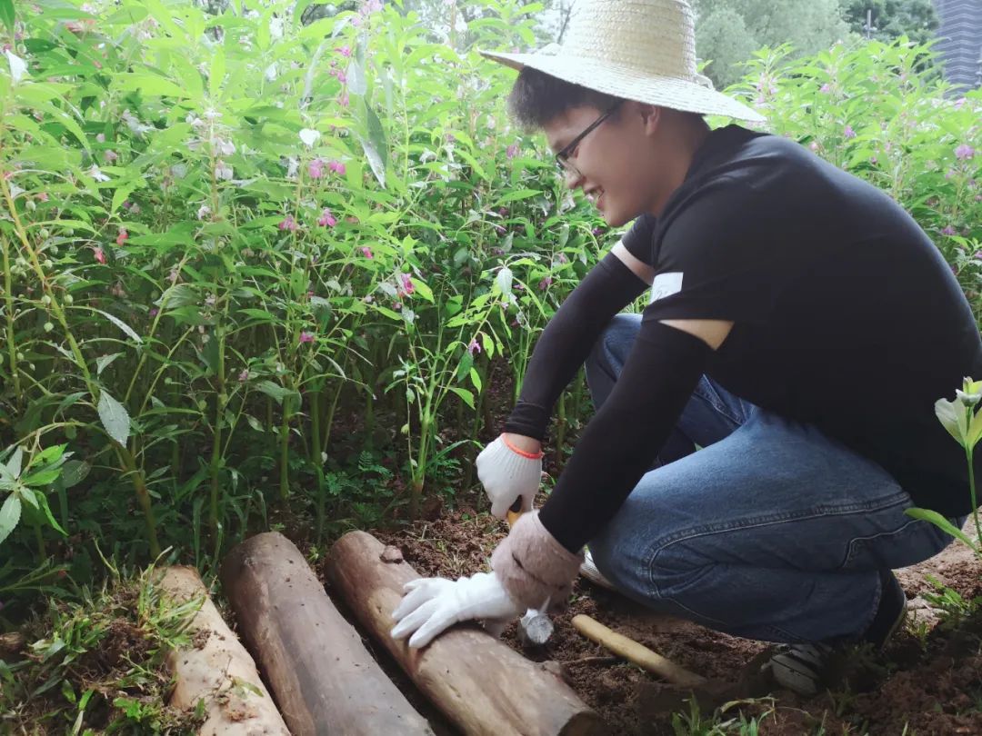 clip_image017.jpg 說明: https://mmbiz.qpic.cn/mmbiz_jpg/JdHquDdPGESuqBYTALibdwp2ftRK5t9XGS3ibapTmiagHK7LnYcL2EAR8Qog7ebpzeeiaTbJSw7vd0bA2NIxpHiaUGQ/640?wx_fmt=jpeg