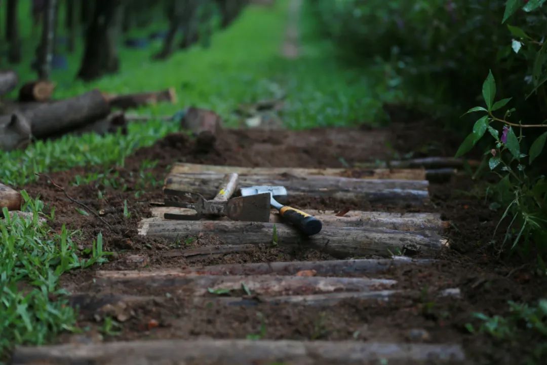 clip_image024.jpg 說明: https://mmbiz.qpic.cn/mmbiz_jpg/JdHquDdPGESuqBYTALibdwp2ftRK5t9XGUm0ic4VibTibMTnc86W6bpxo2IK9JJSiazpnvoVxDzQBfqniccYXII2JnpQ/640?wx_fmt=jpeg