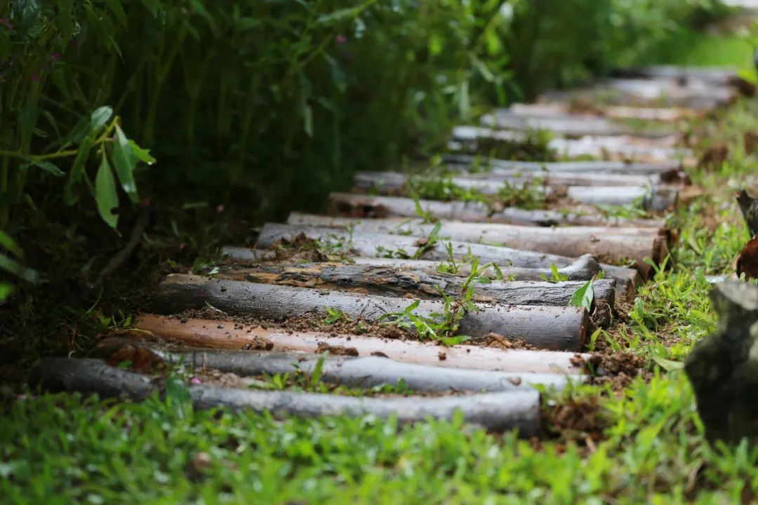 clip_image025.jpg 說明: https://mmbiz.qpic.cn/mmbiz_jpg/JdHquDdPGESuqBYTALibdwp2ftRK5t9XGnNGDAWuRypaebR5H5mKS9wia0AFERibQzyRwFnENJqBYTKHlZTialGu2A/640?wx_fmt=jpeg