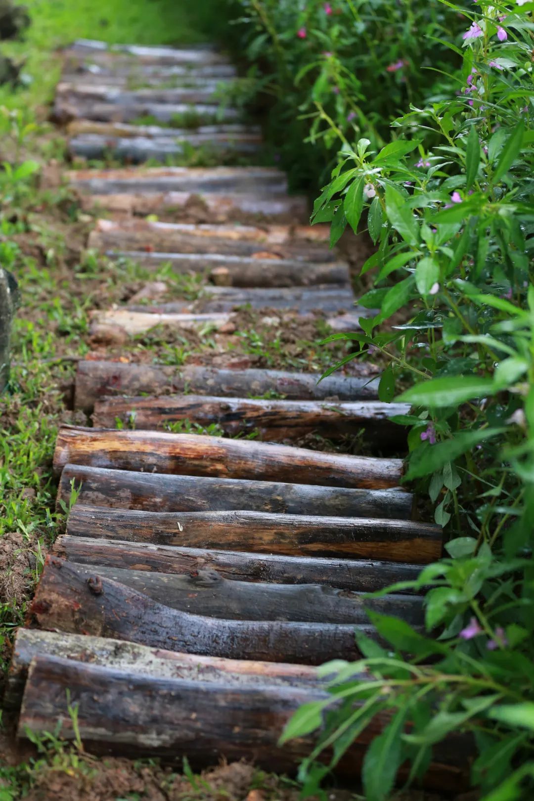 clip_image026.jpg 說明: https://mmbiz.qpic.cn/mmbiz_jpg/JdHquDdPGESuqBYTALibdwp2ftRK5t9XGsoLmHfjicPKSgGeO41FSvMialrOiaUEZ2THz7m5Dk03q8NWMCEURic9BJw/640?wx_fmt=jpeg