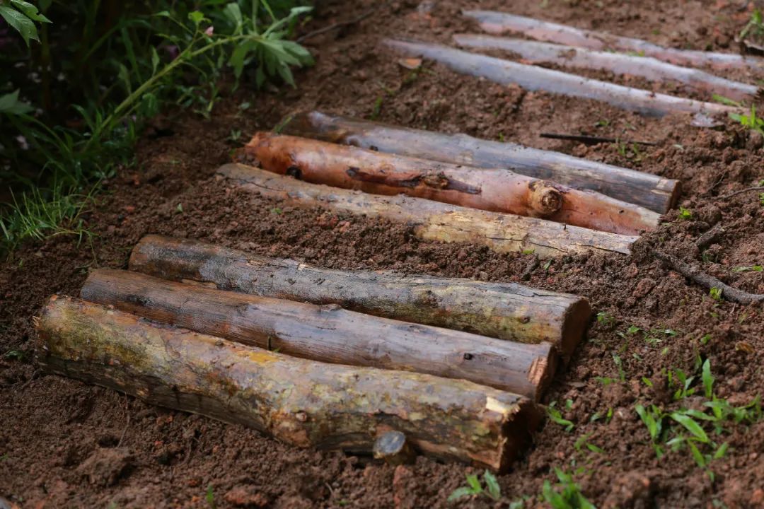 clip_image023.jpg 說明: https://mmbiz.qpic.cn/mmbiz_jpg/JdHquDdPGESuqBYTALibdwp2ftRK5t9XGUq4glPatRDuZepWNtibibia9UuOiaXcibP0gkH1UWBFhe0O7mzKNYnzibeew/640?wx_fmt=jpeg